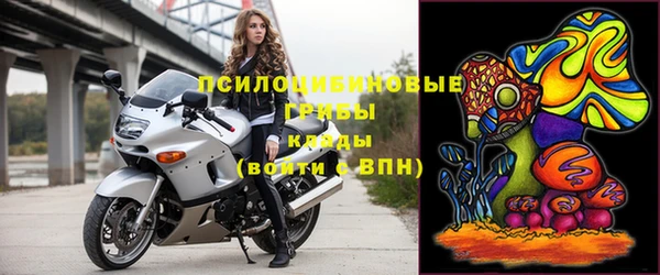 прущие грибы Алексеевка