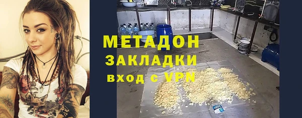 прущие грибы Алексеевка